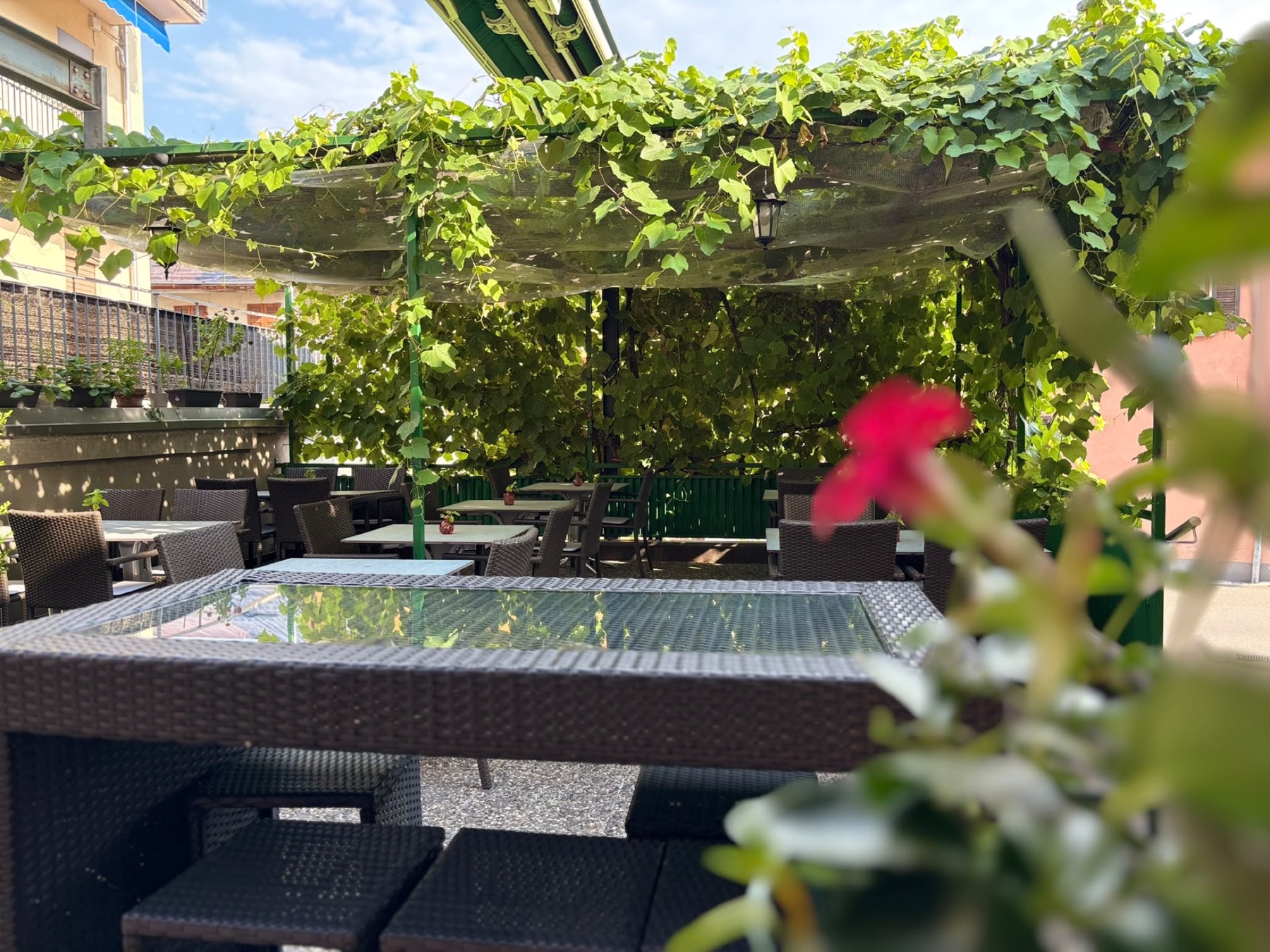 Terrazza verde del Ristorante Brio a Minusio